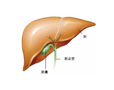 福州中医：如何有效缓解胆囊炎